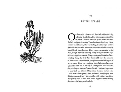 Olivia Laing: The Garden Against Time. In Search Of A Common Paradise