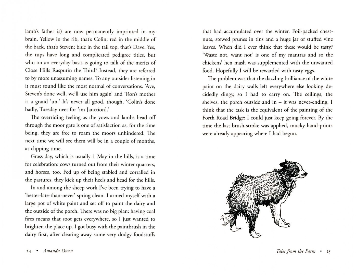 Tales From the Farm by the Yorkshire Shepherdess