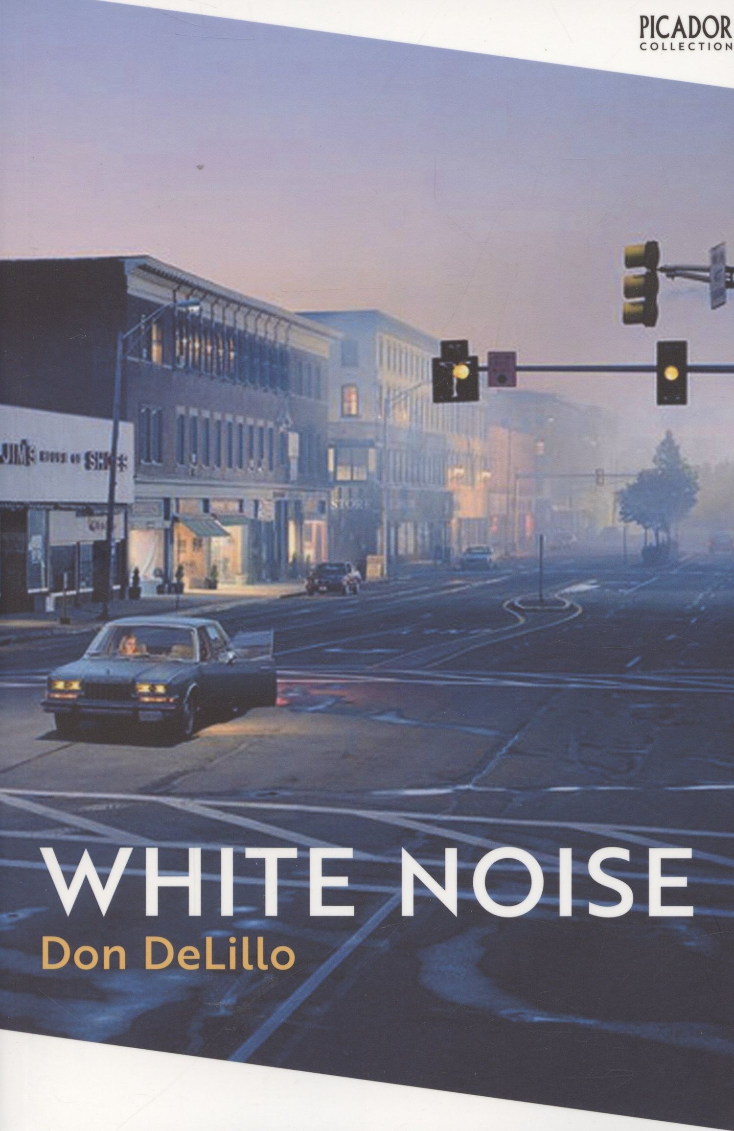 Don DeLillo: White Noise / Белый шум (На английском языке)