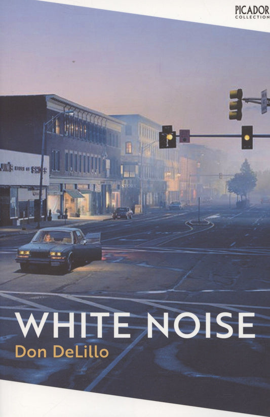 Don DeLillo: White Noise / Белый шум (На английском языке)