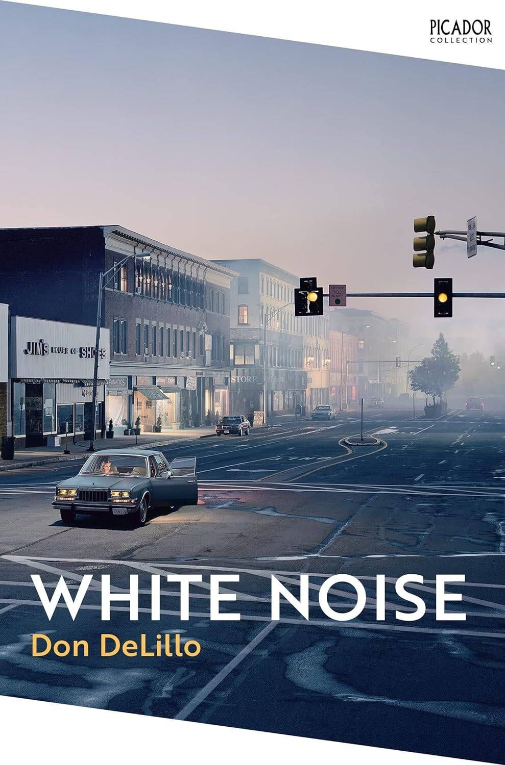 Don DeLillo: White Noise / Белый шум (На английском языке)