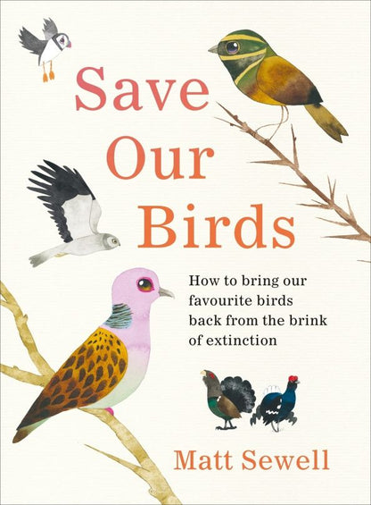 Matt Sewell: Save Our Birds. How to bring our favourite birds back from the brink of extinction