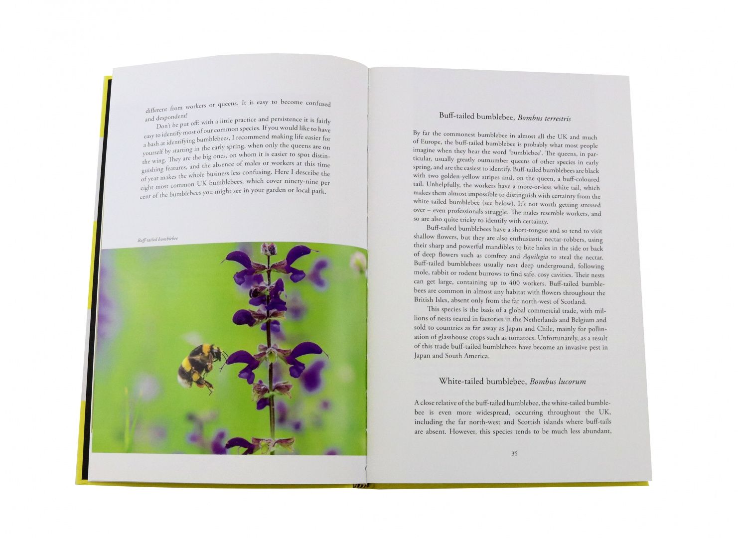 Dave Goulson: Gardening for Bumblebees. A Practical Guide to Creating a Paradise for Pollinators