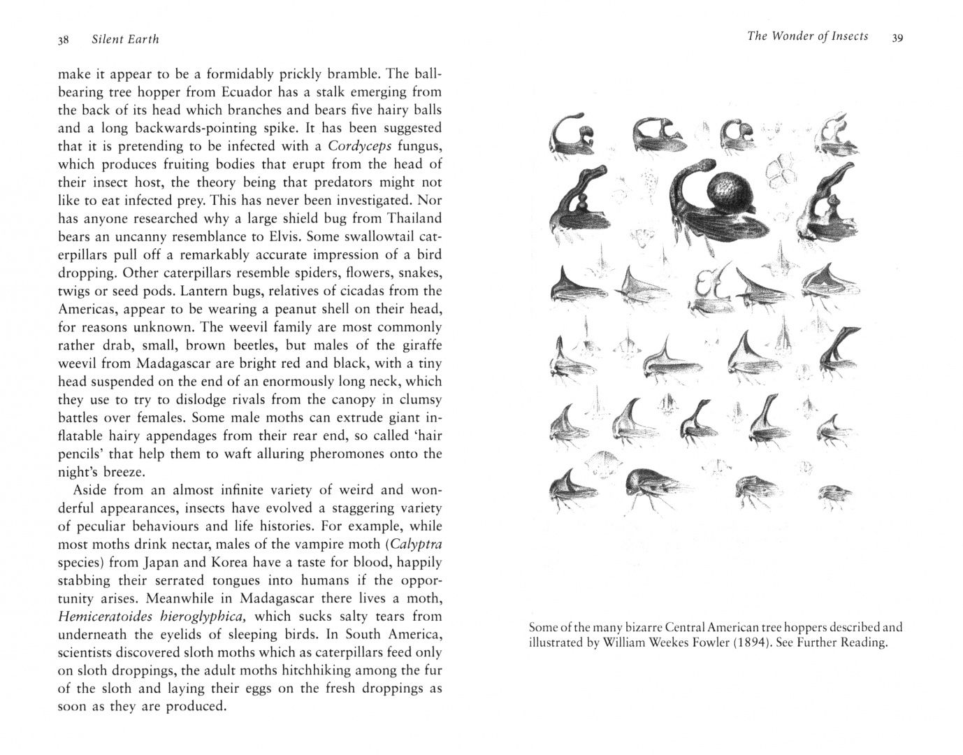 Dave Goulson: Silent Earth. Averting the Insect Apocalypse