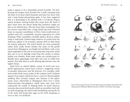 Dave Goulson: Silent Earth. Averting the Insect Apocalypse