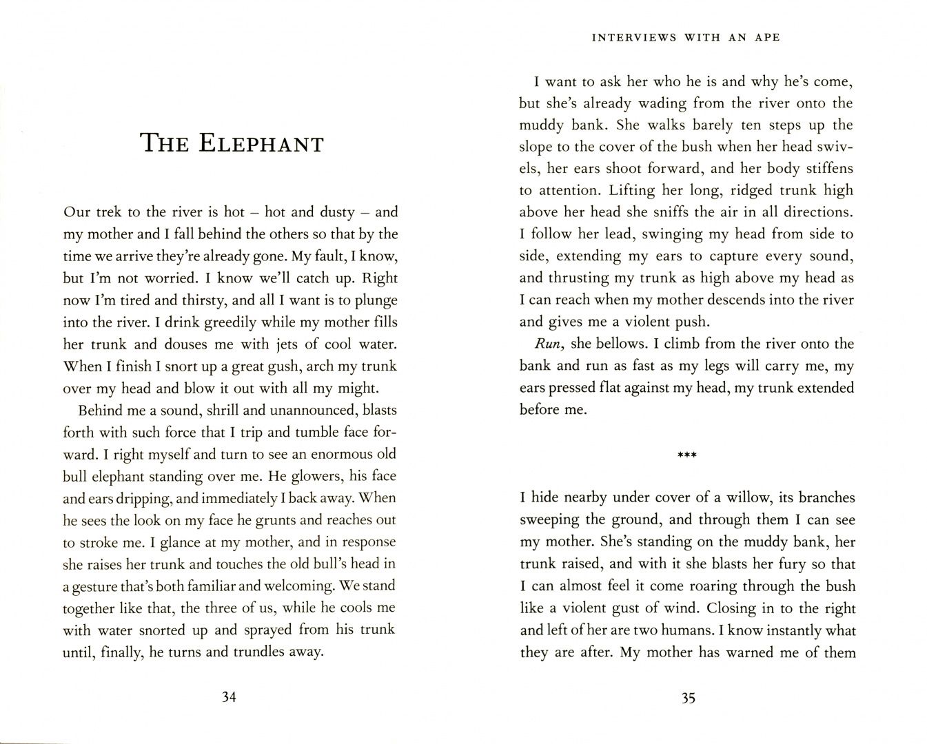 Felice Fallon: Interviews with an Ape