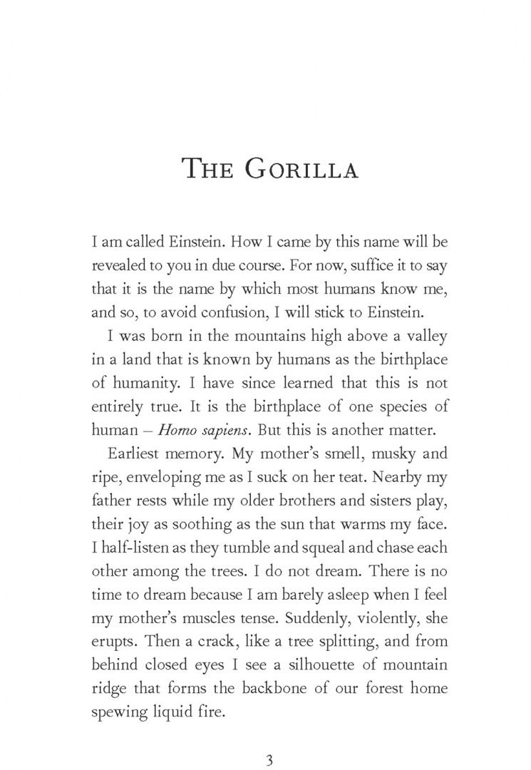 Felice Fallon: Interviews with an Ape