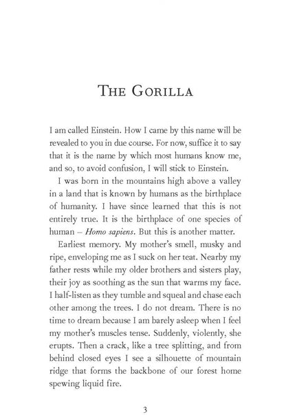 Felice Fallon: Interviews with an Ape