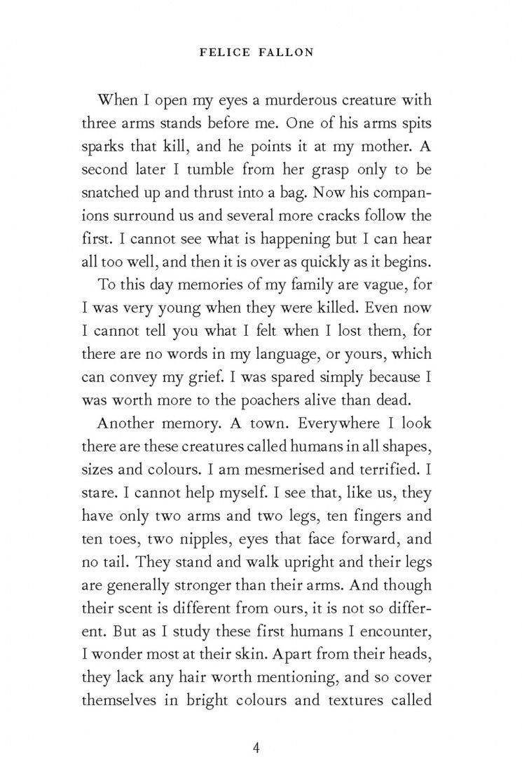Felice Fallon: Interviews with an Ape