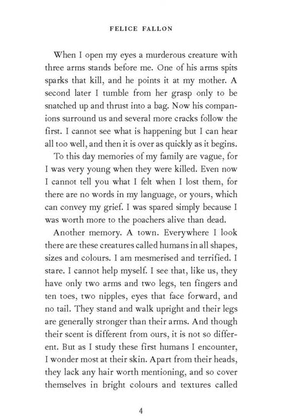 Felice Fallon: Interviews with an Ape