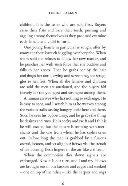 Felice Fallon: Interviews with an Ape