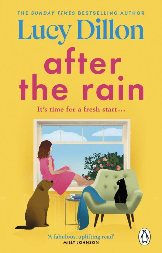 Lucy Dillon: After the Rain