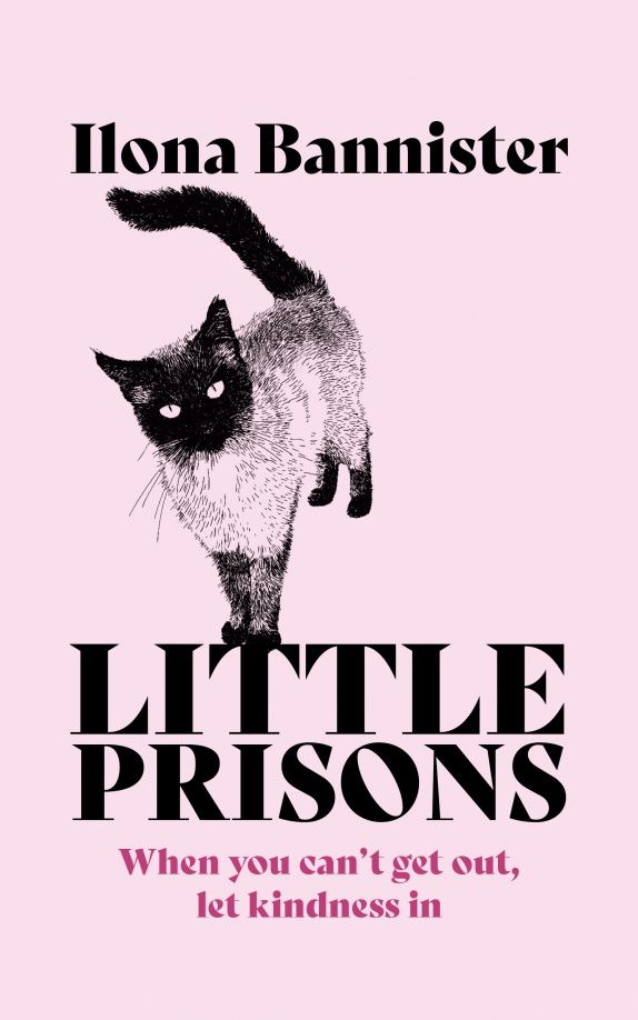 Ilona Bannister: Little Prisons