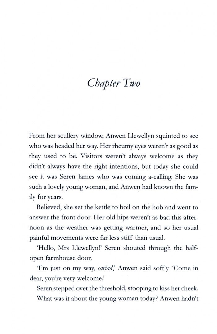 Lynette Rees: The Cobbler's Wife