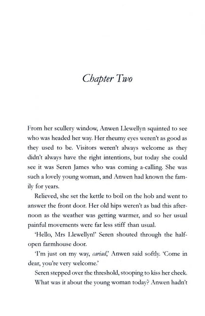 Lynette Rees: The Cobbler's Wife