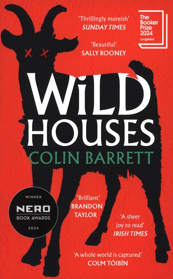 Colin Barrett: Wild Houses