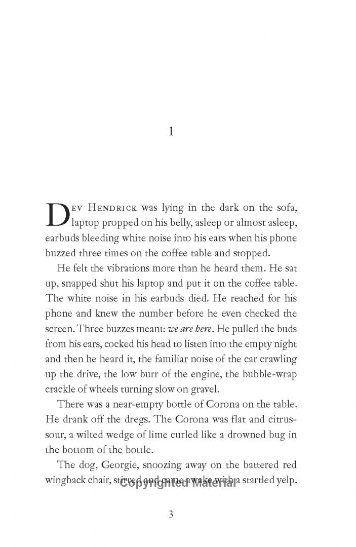 Colin Barrett: Wild Houses