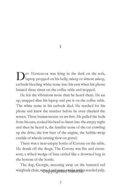 Colin Barrett: Wild Houses