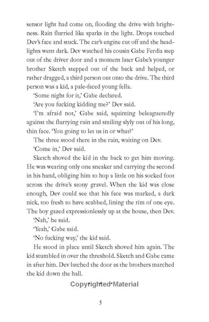 Colin Barrett: Wild Houses