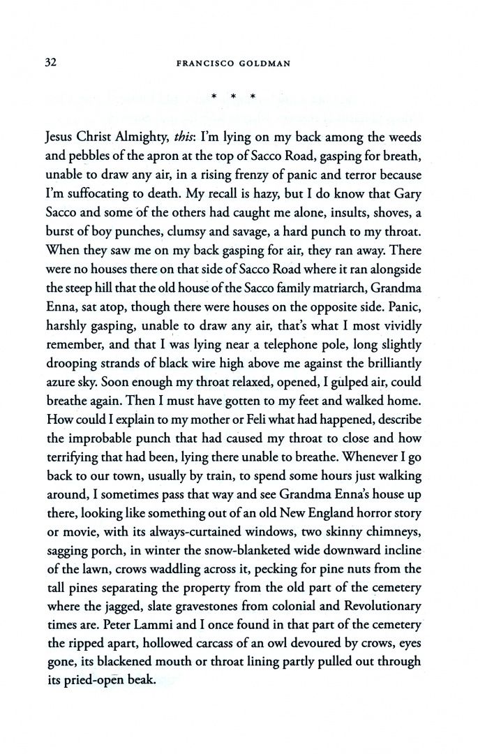 Francisco Goldman: Monkey Boy