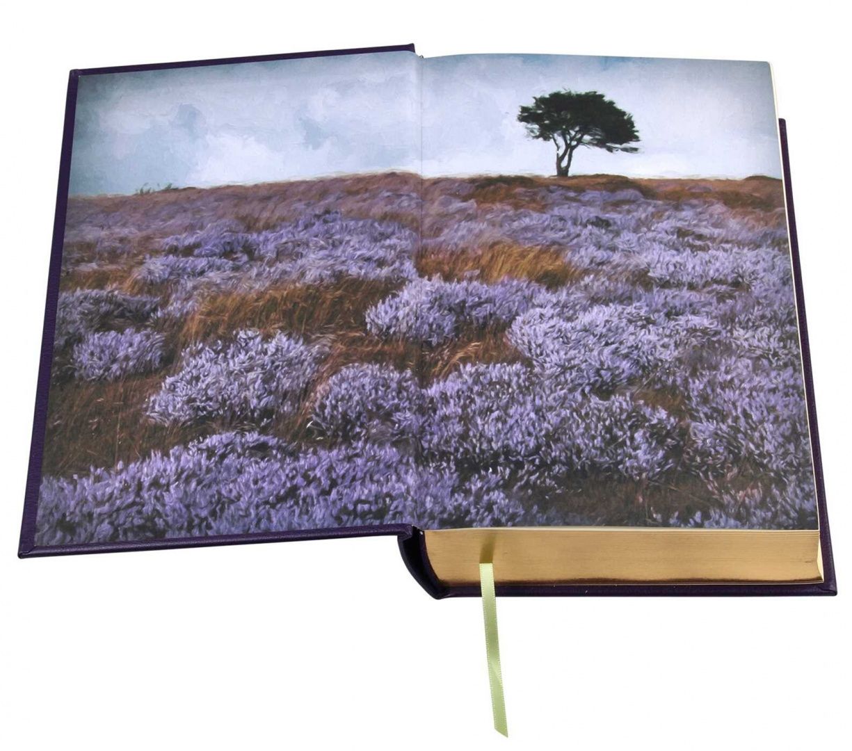 Selected Works of the Bronte Sisters
