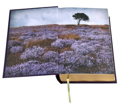 Selected Works of the Bronte Sisters