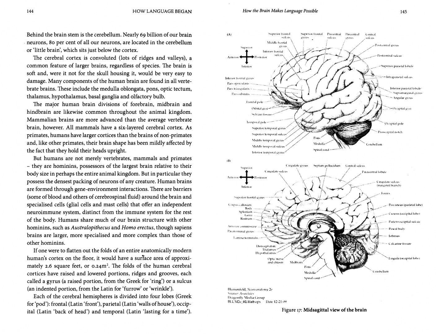 Daniel Everett: How Language Began. The Story of Humanity's Greatest Invention