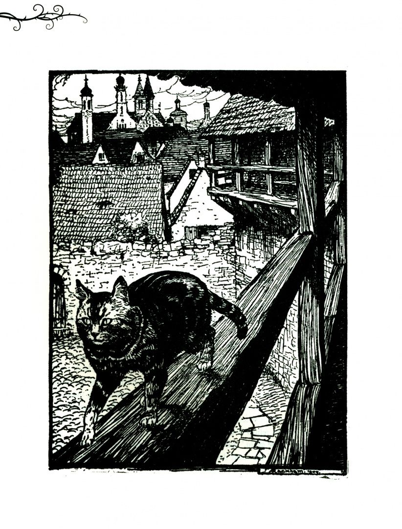 Jacob Grimm: Grimm's Fairy Tales