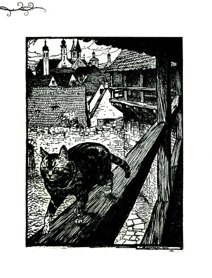 Jacob Grimm: Grimm's Fairy Tales