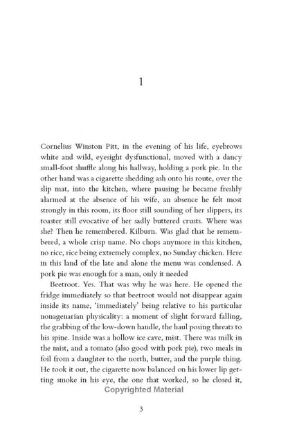 Diana Evans: A House for Alice