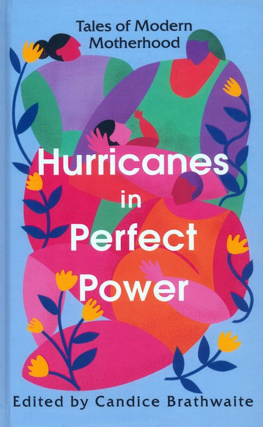 Anita Desai: Hurricanes in Perfect Power. Tales of Modern Motherhood