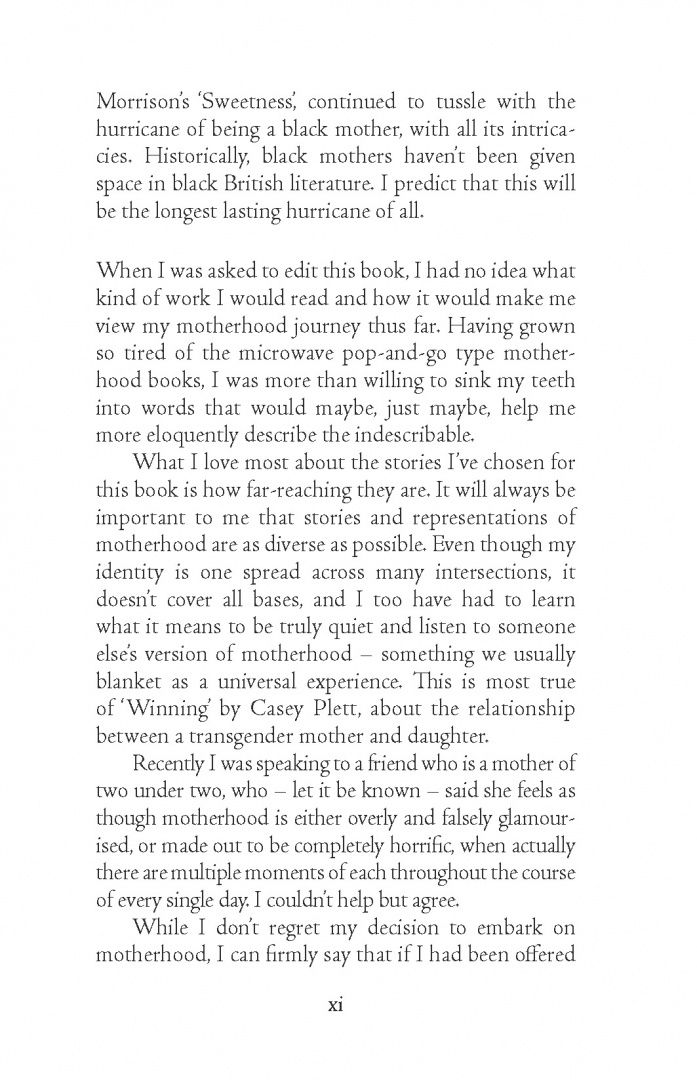 Anita Desai: Hurricanes in Perfect Power. Tales of Modern Motherhood