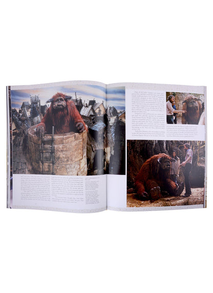 Peter Block: Labyrinth. The Ultimate Visual History