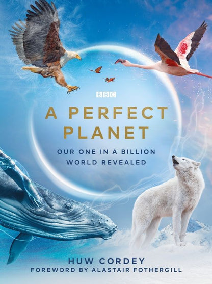 Huw Cordey: A Perfect Planet
