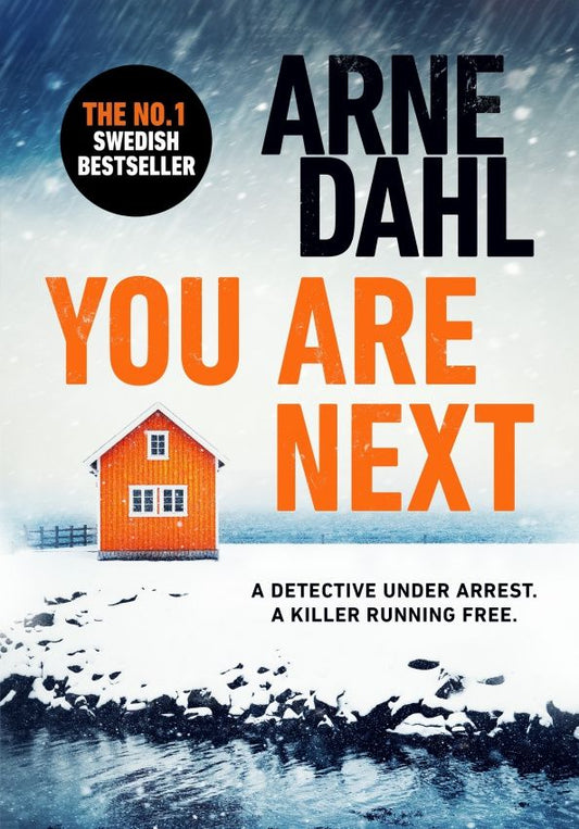 Arne Dahl: You Are Next