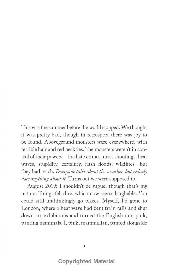 Elizabeth McCracken: The Hero of this Book