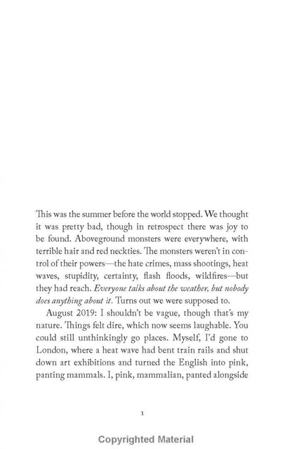 Elizabeth McCracken: The Hero of this Book