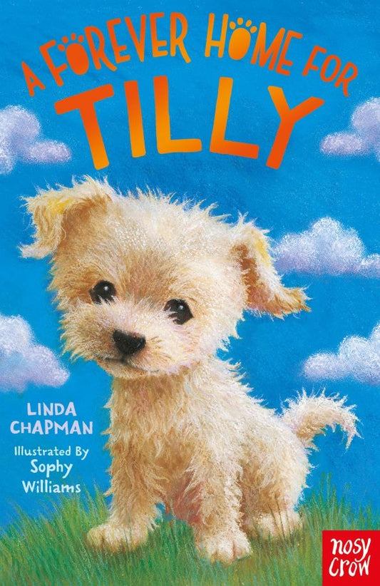 Linda Chapman: A Forever Home for Tilly