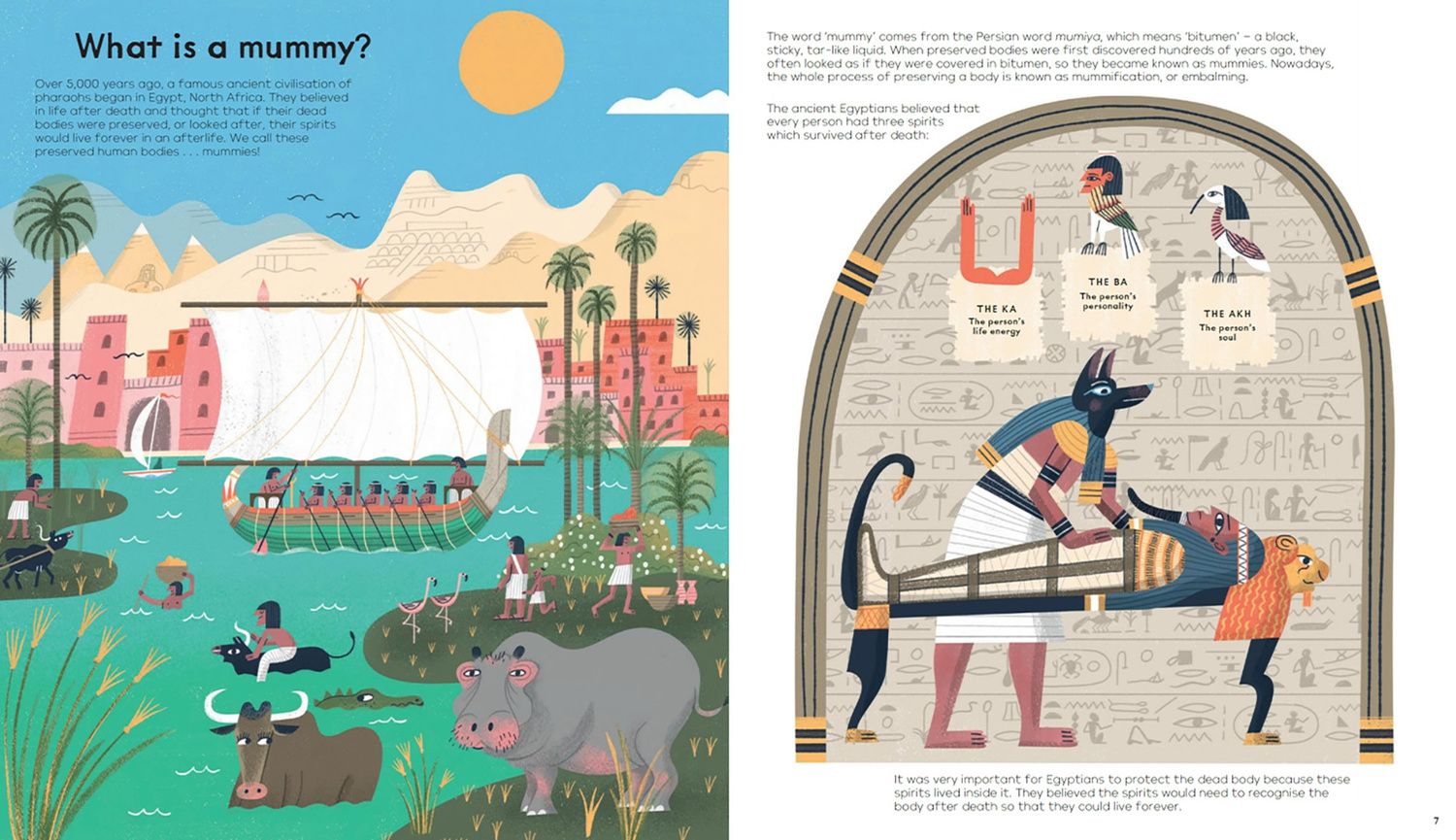 Tom Froese: Mummies Unwrapped