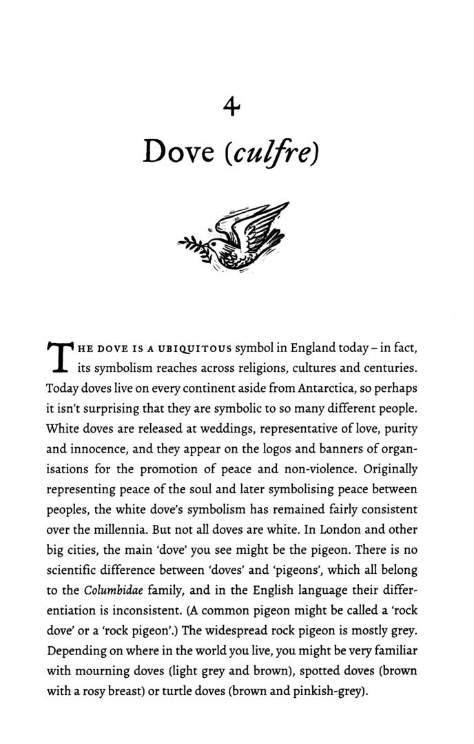 Hana Videen: The Deorhord. An Old English Bestiary