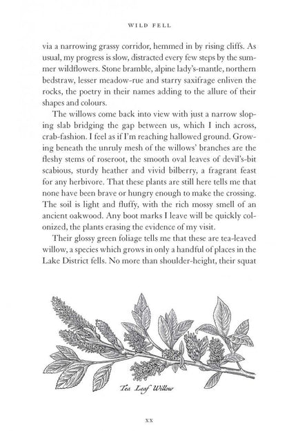 Lee Schofield: Wild Fell