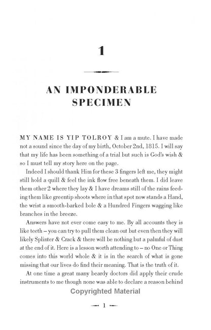 Paddy Crewe: My Name is Yip