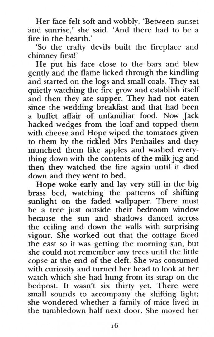 Susan Sallis: The Apple Barrel