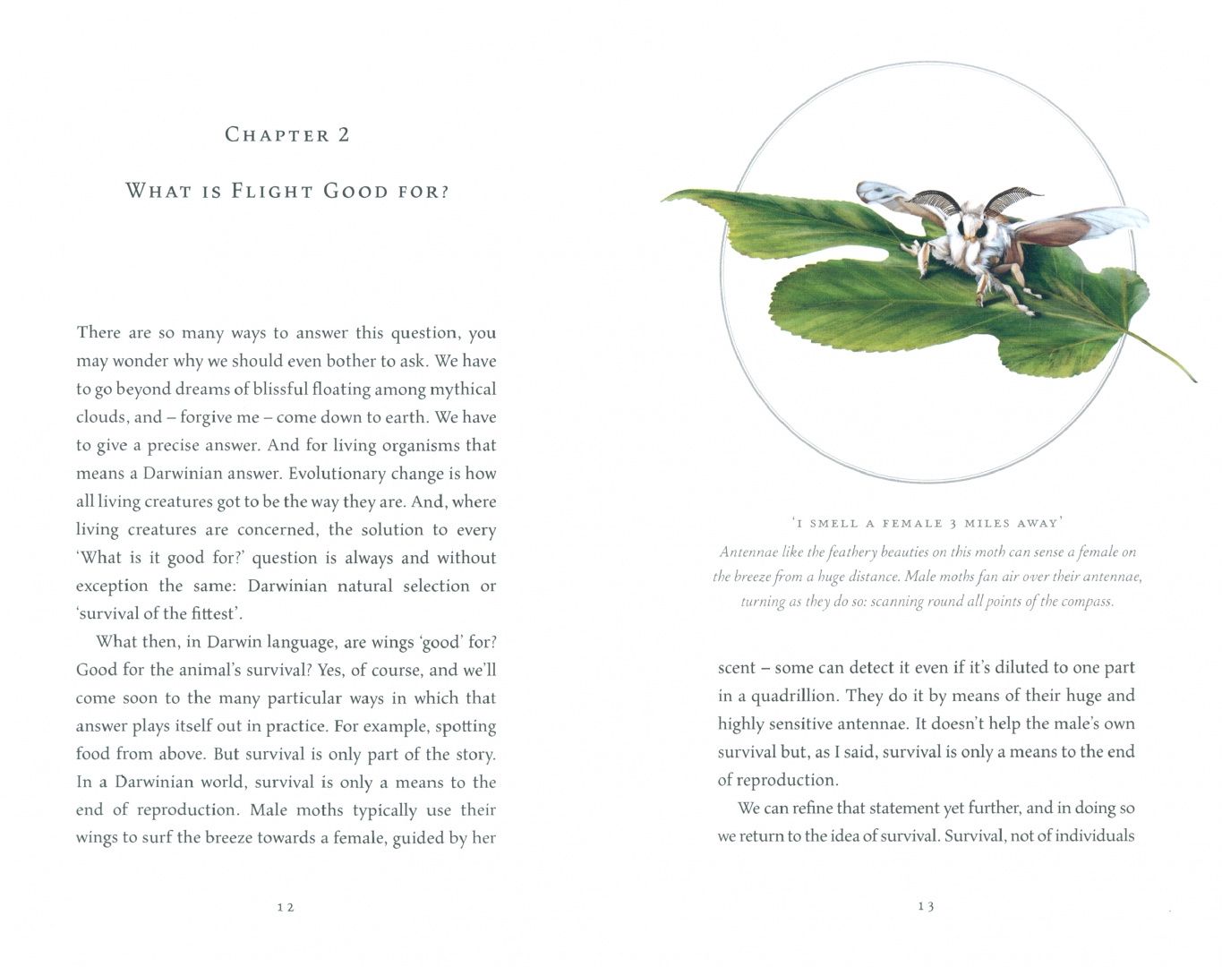 Richard Dawkins: Flights of Fancy. Defying Gravity by Design and Evolution