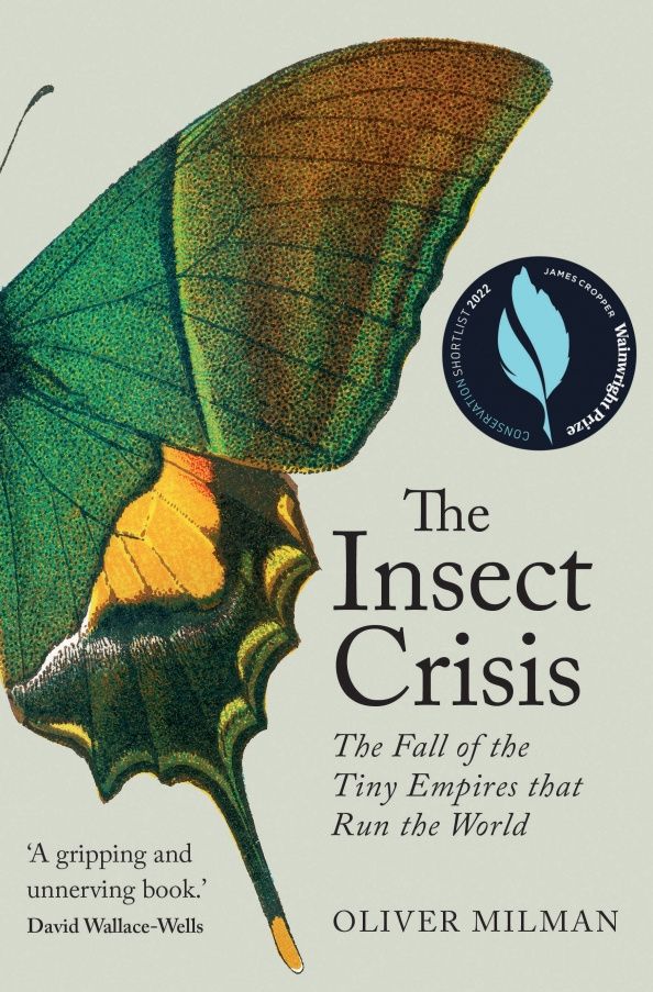 Oliver Milman: The Insect Crisis. The Fall of the Tiny Empires that Run the World