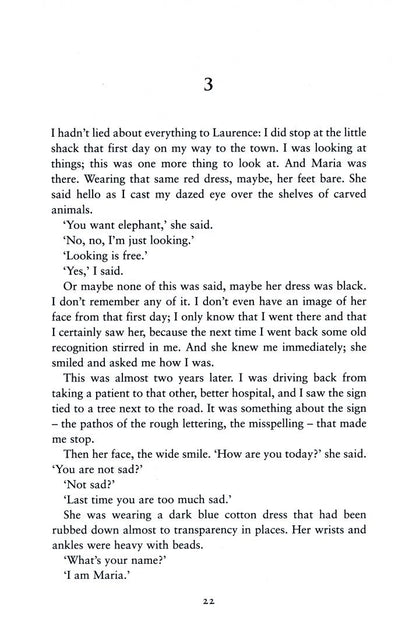 Damon Galgut: The Good Doctor