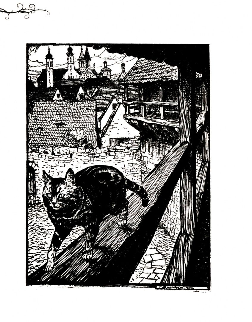 Jacob Grimm: Grimm's Fairy Tales