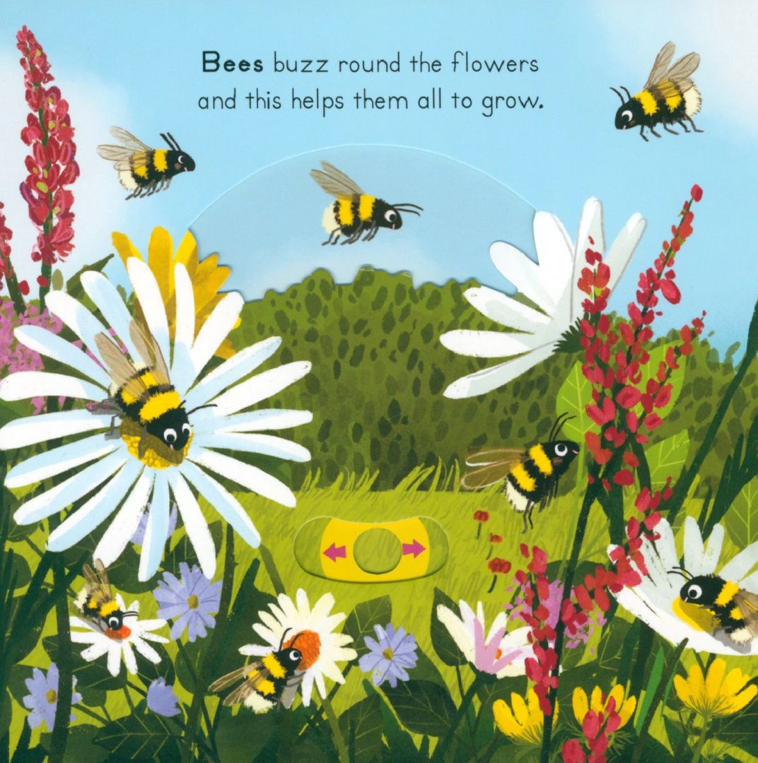 Anne-Kathrin Behl: Big Outdoors for Little Explorers. Countryside