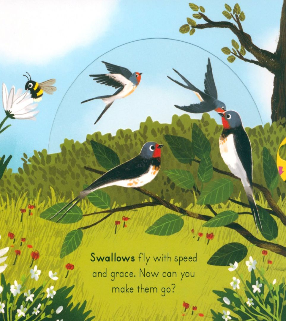 Anne-Kathrin Behl: Big Outdoors for Little Explorers. Countryside