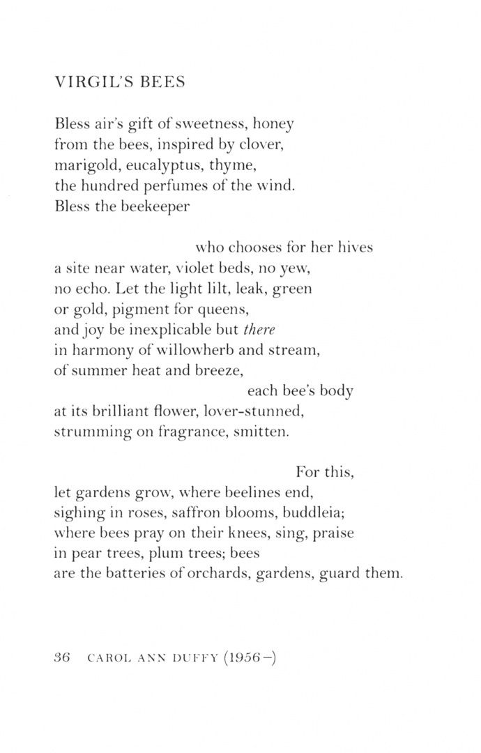 Buzz Words. Poems About Insects